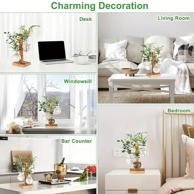 Moderne Hydrokultur Glasvase für Desktop Pflanzenvermehrung