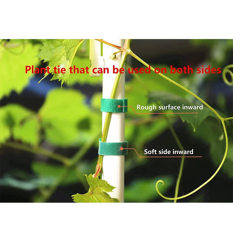 Nylon Pflanzenbänder 3 Rollen 2m flexibel für Gartensupport