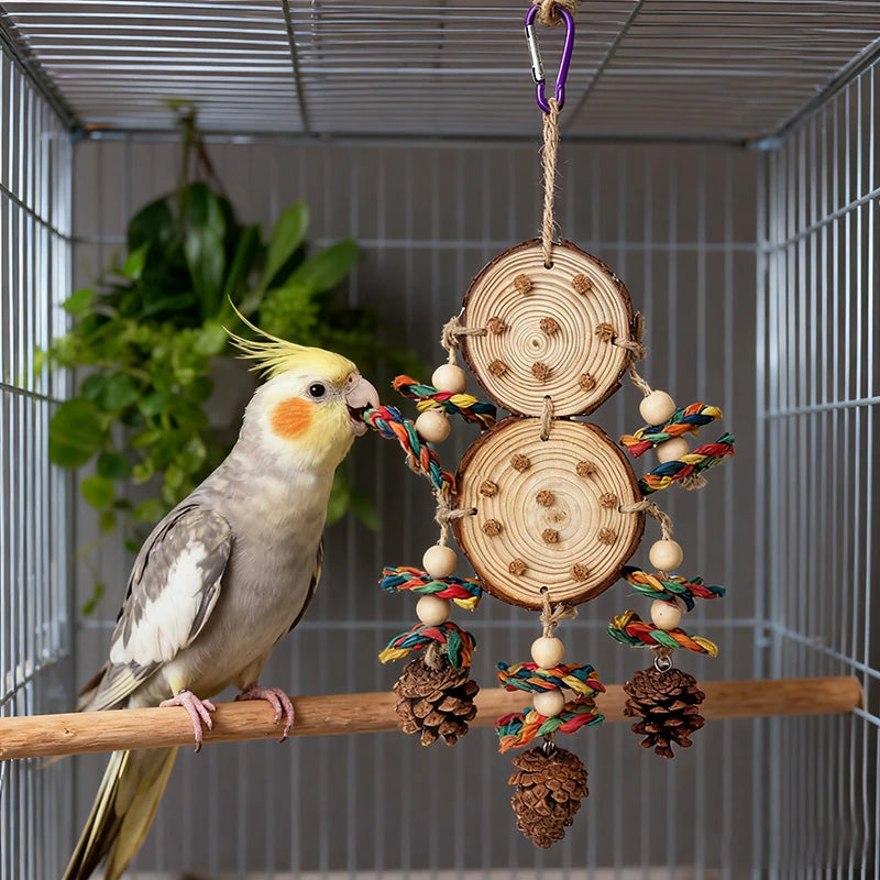 Papagei Kauspielzeug Set mit Maisschale Tannenzapfen Holz für Haustiere