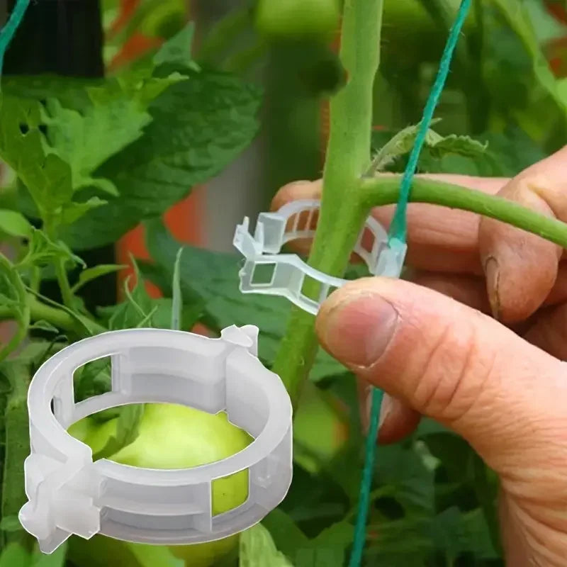 20 Gartenklammern für Pflanzenstütze – Ideal für Tomaten und Gemüse