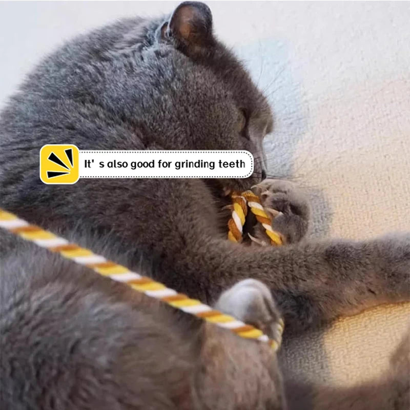 Interaktiver Katzen Teasing-Stab mit Seil – Kauen Verfolgen Spielspaß