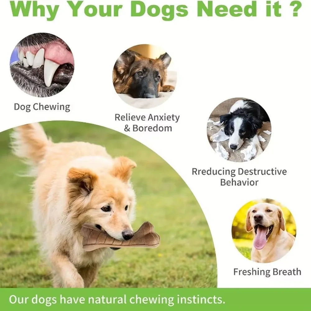 Simulation Hundeknochen Spielzeug Zahnreinigung Kauspielzeug mit Rinderduft