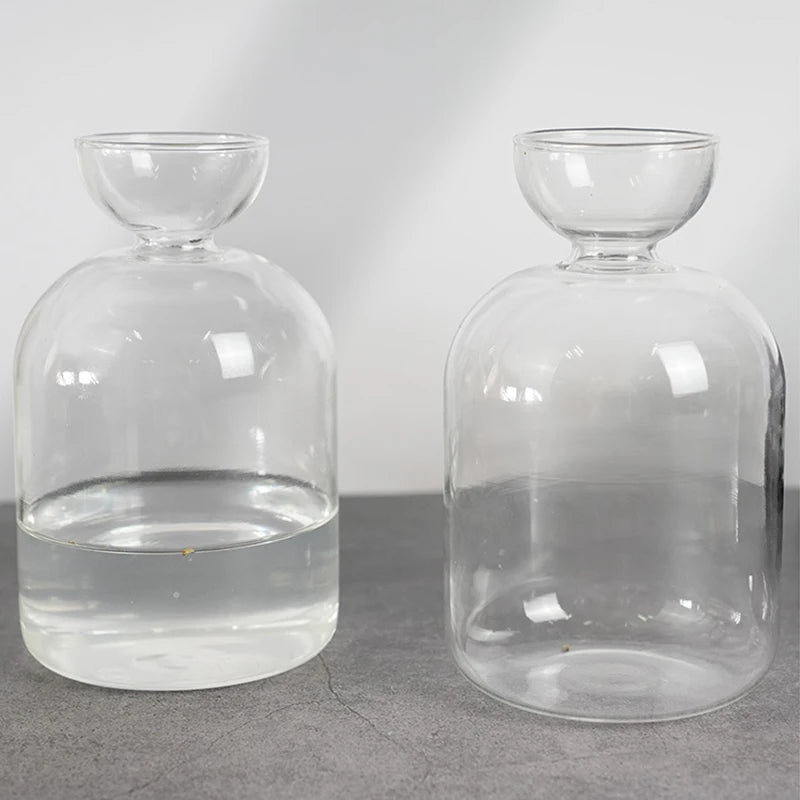 Dekorative Glas Anzuchtvase für Avocado Samen und Pflanzen