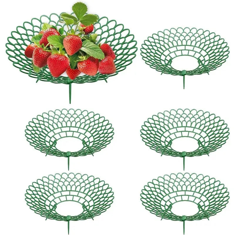 5er Set Erdbeerständer mit 3 stabilen Beinen Pflanzenstütze für Garten