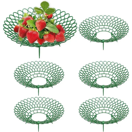 5er Set Erdbeerständer mit 3 stabilen Beinen Pflanzenstütze für Garten
