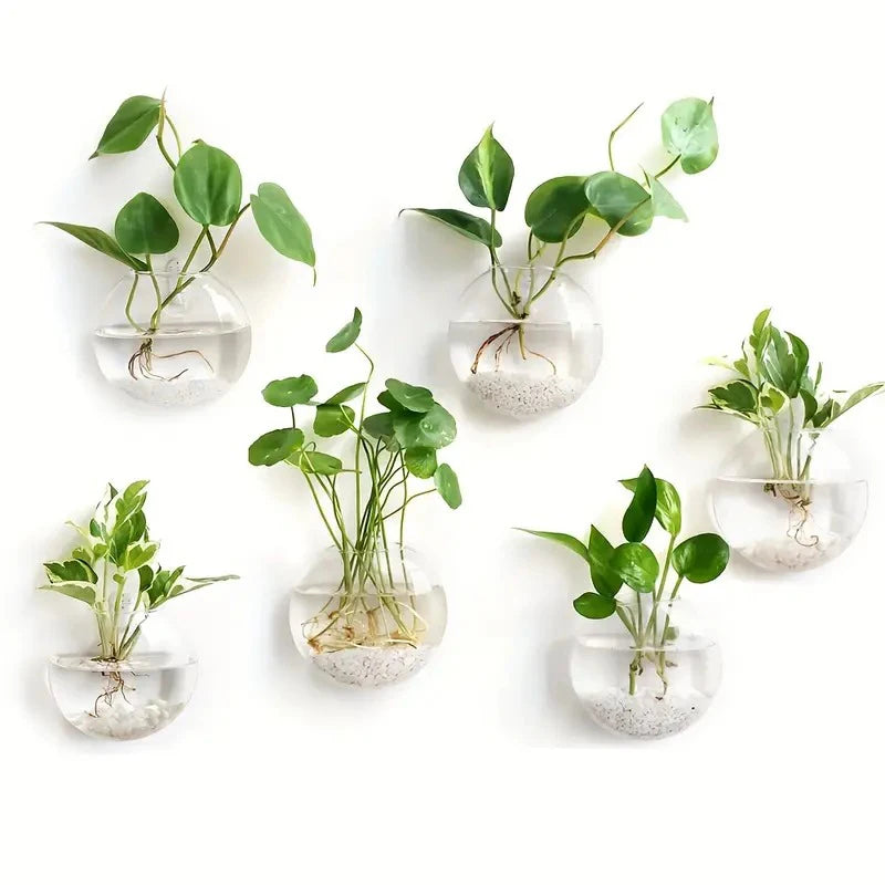 Wandmontierte Glas Vase für Pflanzen und Dekor im Home Office