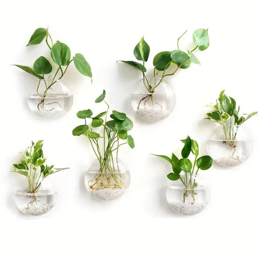 Wandmontierte Glas Vase für Pflanzen und Dekor im Home Office