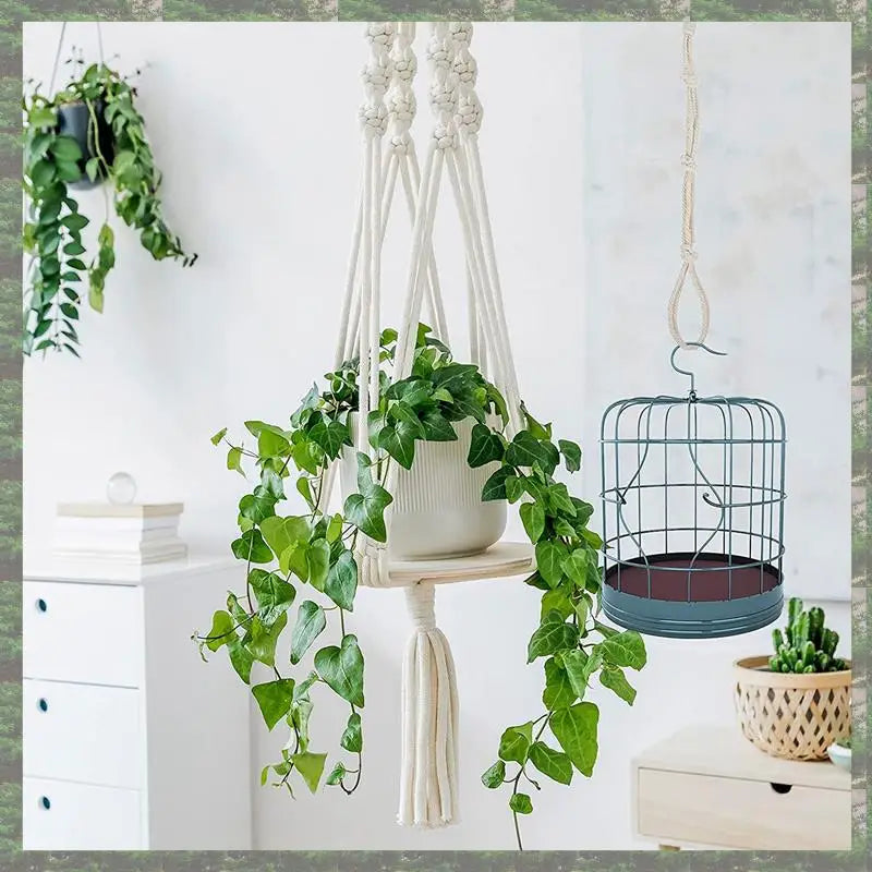 Makramee Pflanzenaufhänger 4er Set mit Verlängerungsseilen Beige