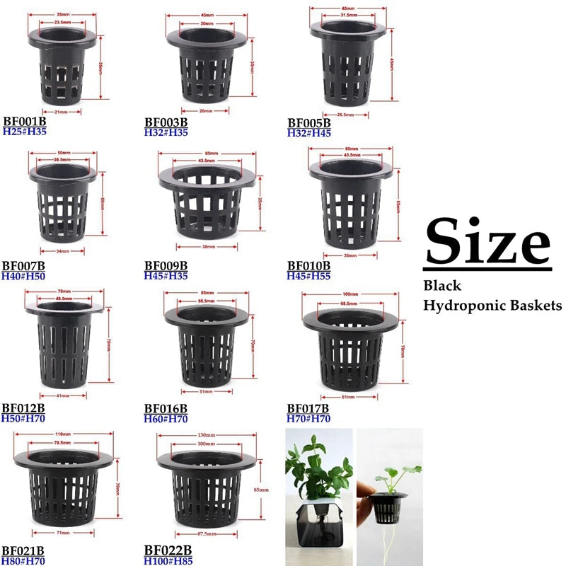 10 Stück Hydrokultur Pflanzkörbe aus Kunststoff für Gewächshaus und Gemüse