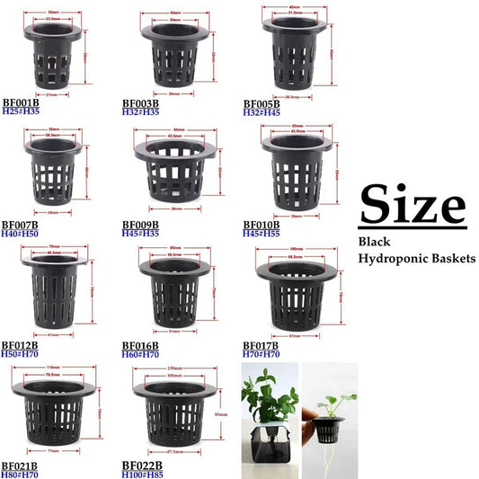 10 Stück Hydrokultur Pflanzkörbe aus Kunststoff für Gewächshaus und Gemüse