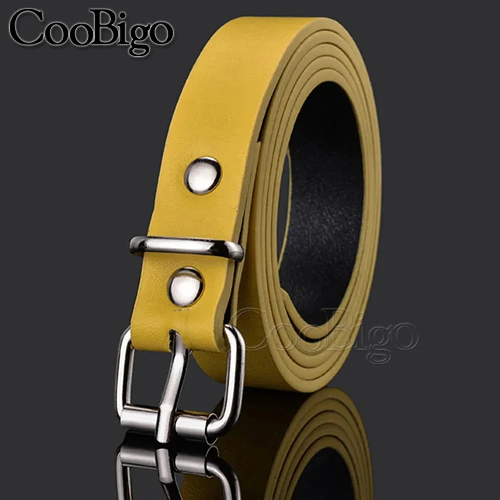 5 Metall Roller Pin Schnallen Set für Gürtel Hundehalsband Leder DIY