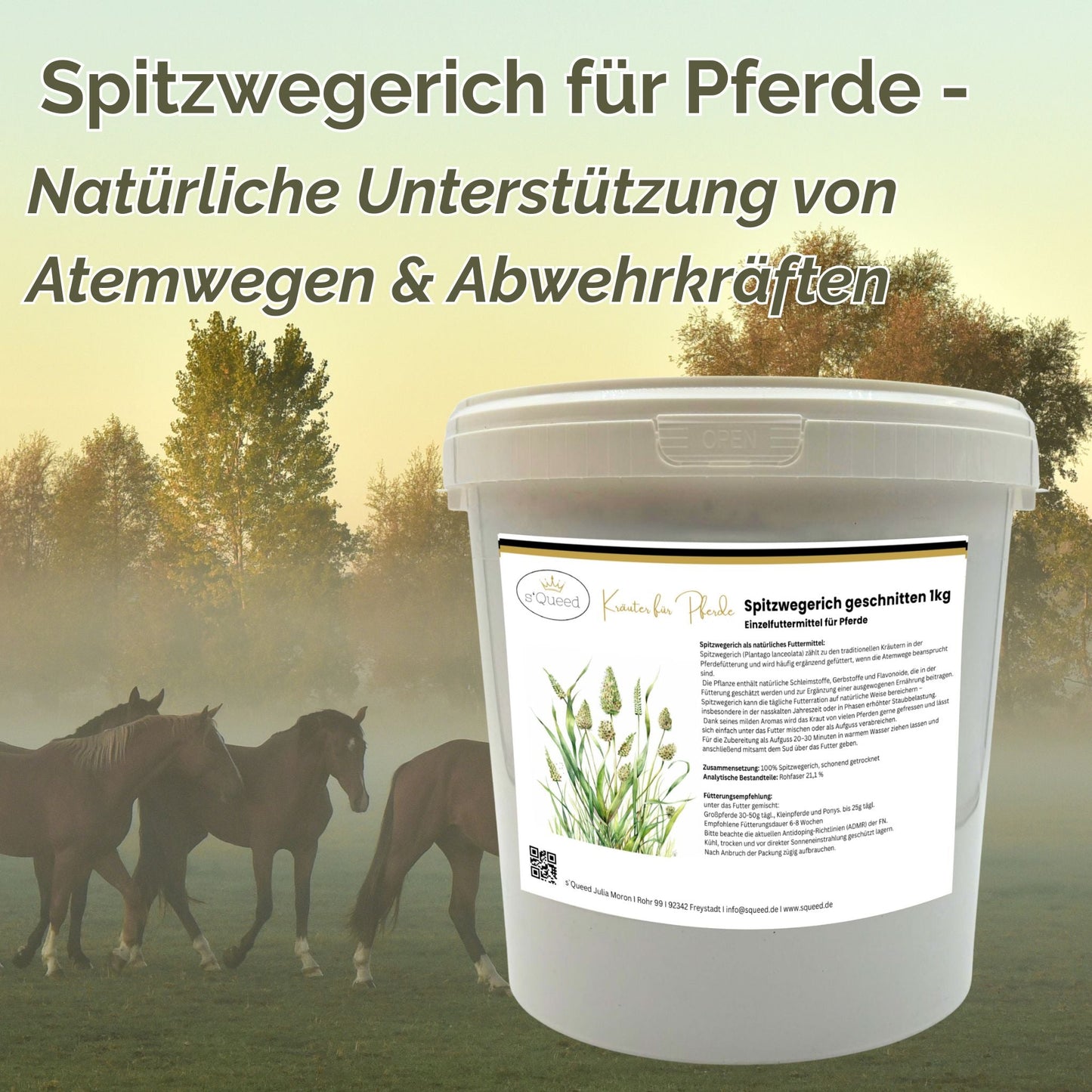 Spitzwegerich 1kg naturreines Kraut für Atemwege bei Pferden