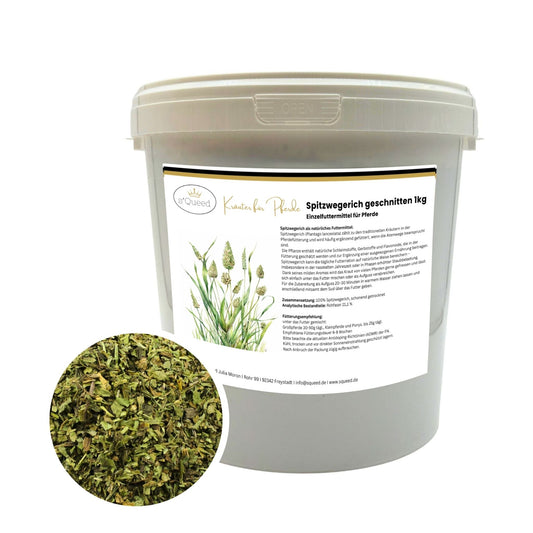 Spitzwegerich 1kg naturreines Kraut für Atemwege bei Pferden