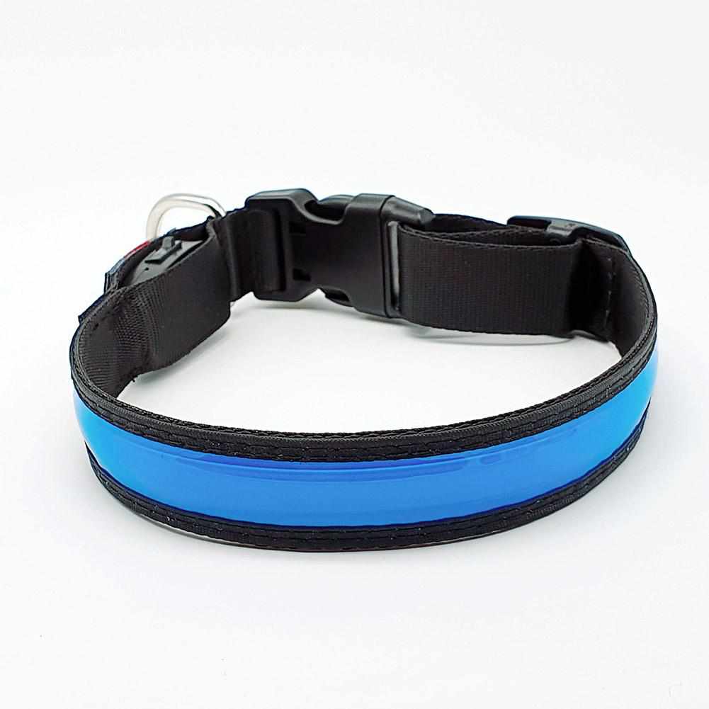 LED Hundehalsband mit stabilem Nylon und wiederaufladbarem Akku