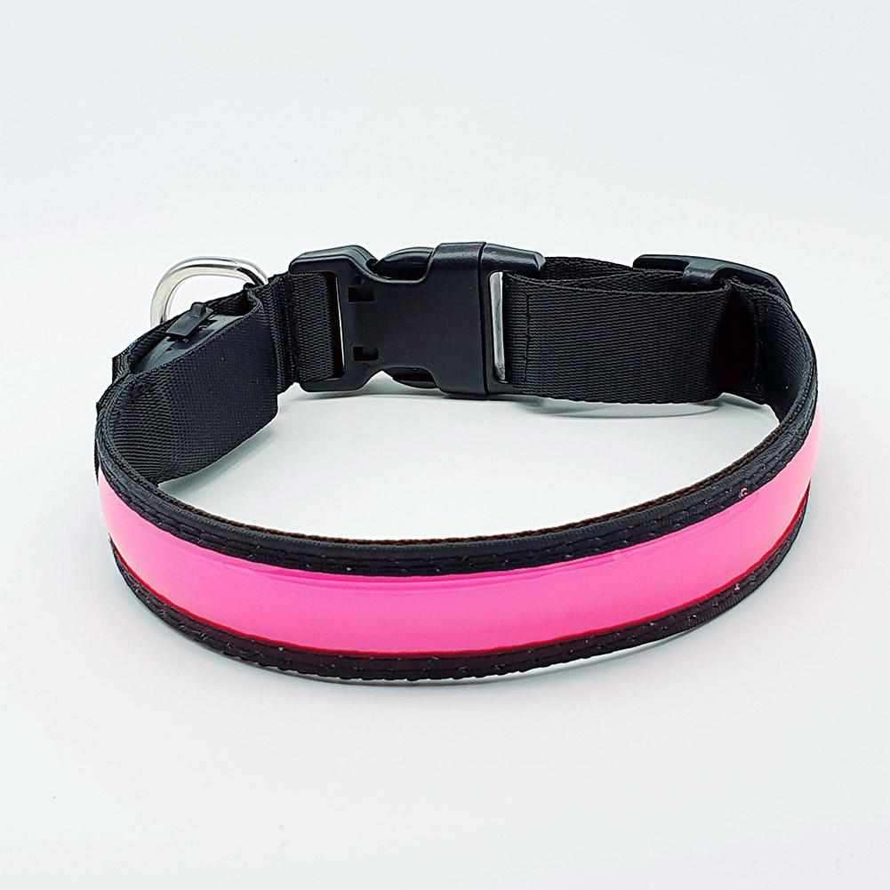 LED Hundehalsband mit stabilem Nylon und wiederaufladbarem Akku