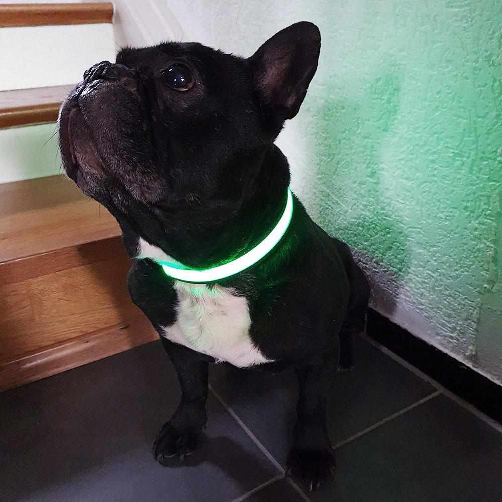 LED Hundehalsband mit stabilem Nylon und wiederaufladbarem Akku