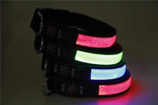 LED Hundehalsband mit stabilem Nylon und wiederaufladbarem Akku