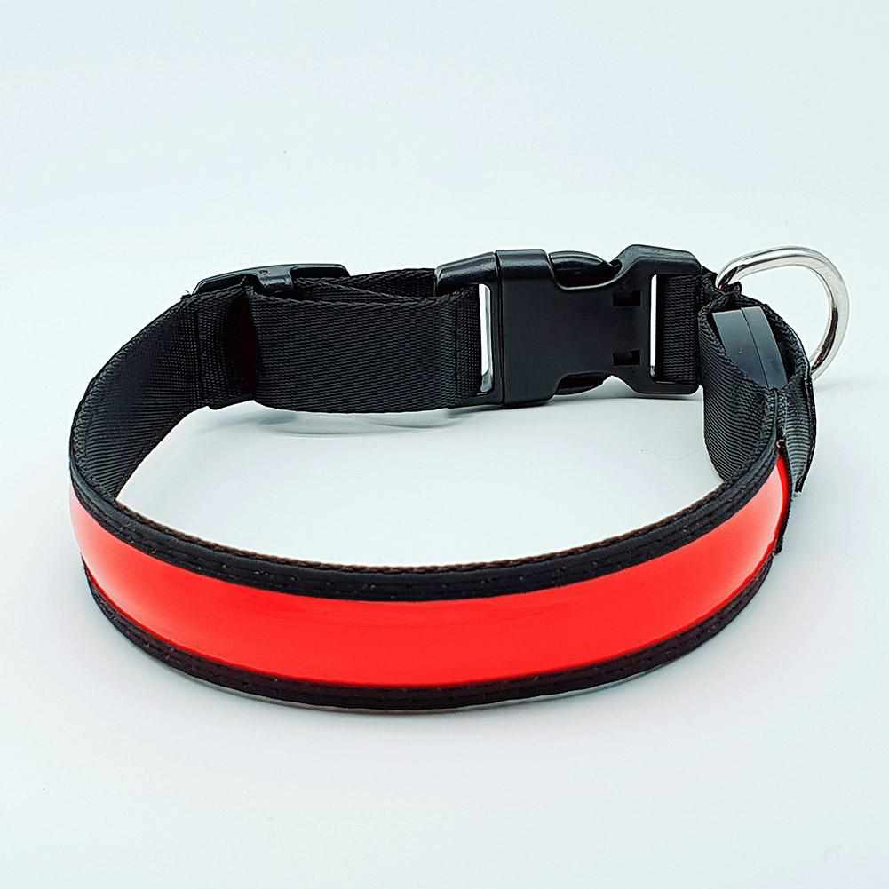 LED Hundehalsband mit stabilem Nylon und wiederaufladbarem Akku