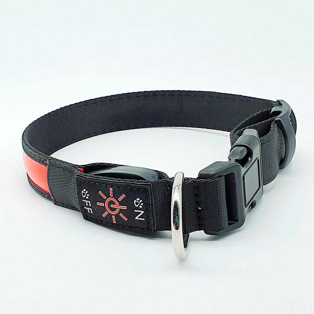LED Hundehalsband mit stabilem Nylon und wiederaufladbarem Akku