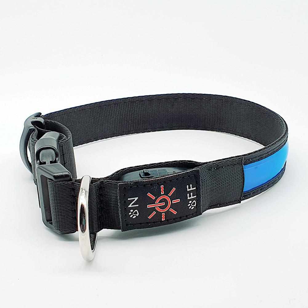 LED Hundehalsband mit stabilem Nylon und wiederaufladbarem Akku