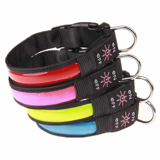 LED Hundehalsband mit stabilem Nylon und wiederaufladbarem Akku