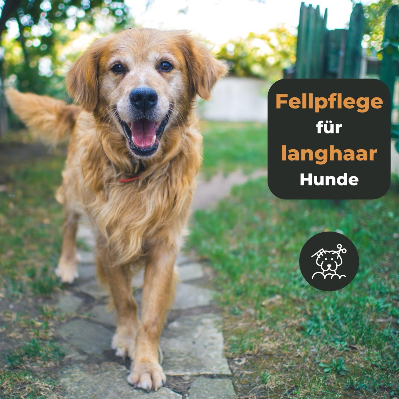 Schonender Unterwollkamm für langes Fell bei Hunden und Katzen