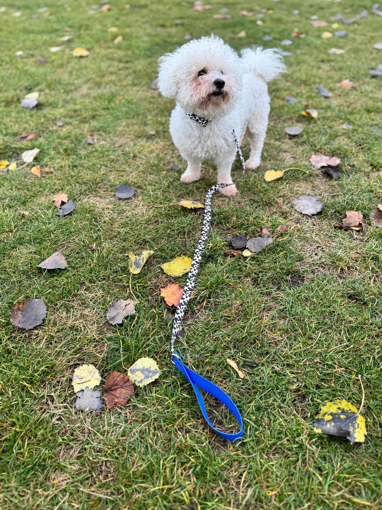 Leine Blueberry Schnelltrocknend Mit Eleganten Metallaccessoires