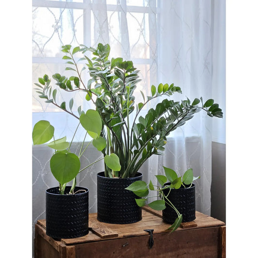 Blumentopf Übertopf Pflanzenkübel Topf Kübel 3er Set schwarz rund Metall Matt - Yabubest - Home & More