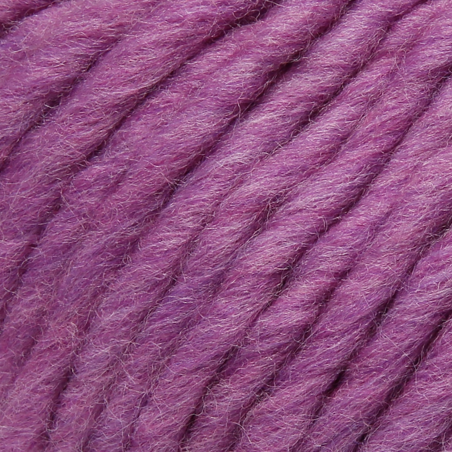 Dekorative Orchidee für stilvolle Raumgestaltung