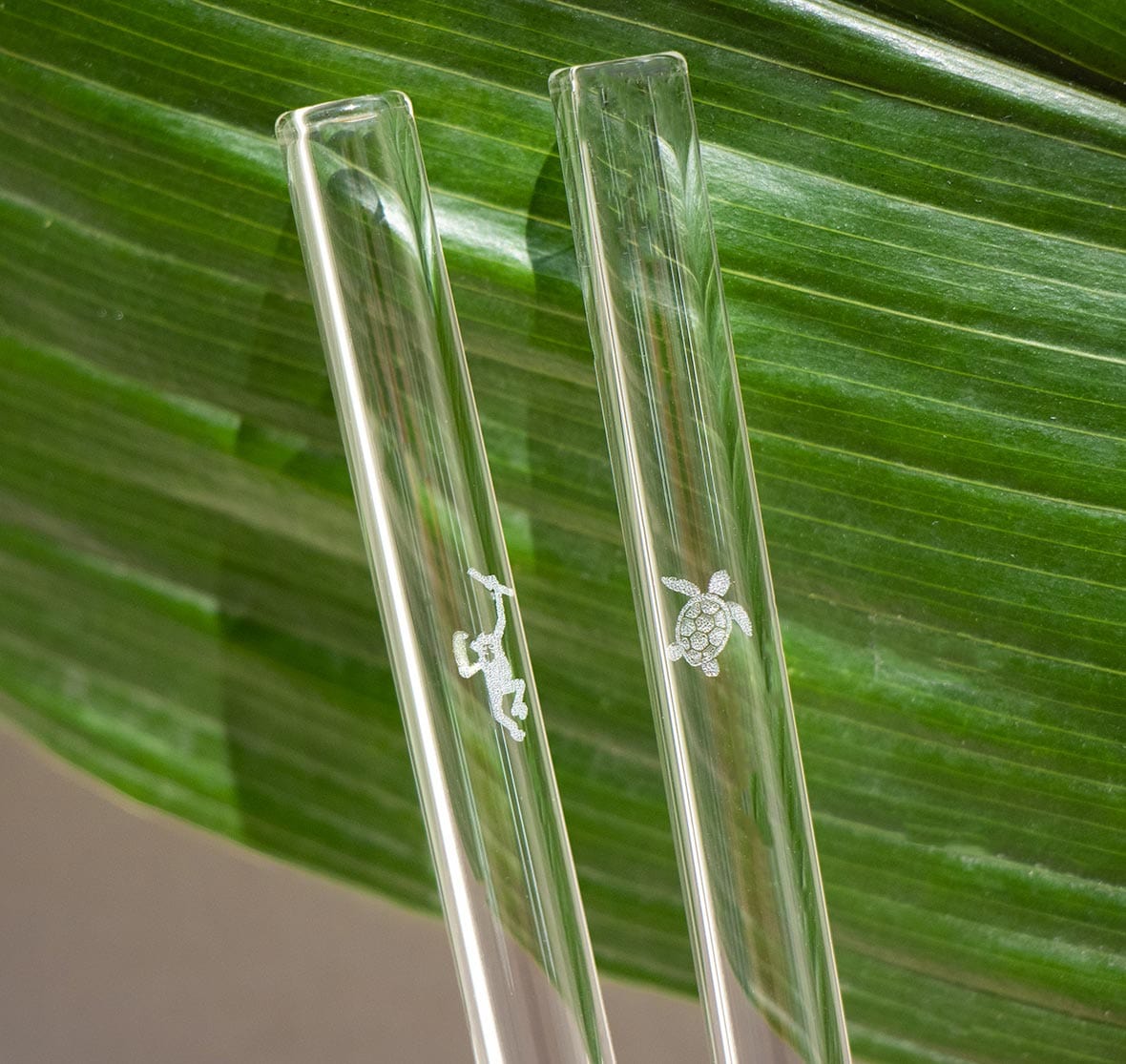 Earth Day Edition 6x Glasstrohhalme mit gravierten Motiven 15cm, 20cm, 23cm