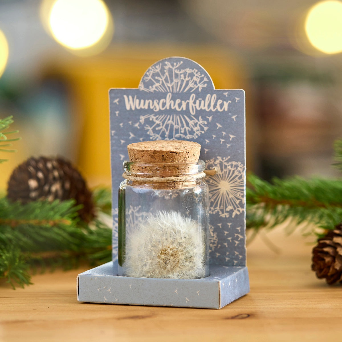 Wunscherfüller Pusteblume im Glas als besonderes Geschenk für jeden Anlass-Die Stadtgärtner