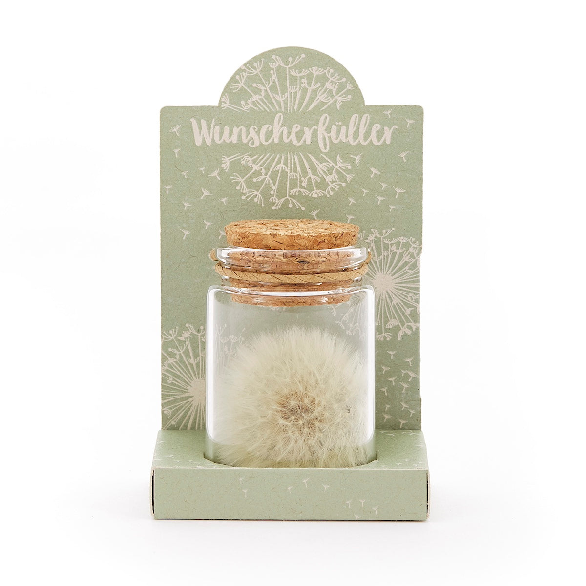 Wunscherfüller Pusteblume im Glas als besonderes Geschenk für jeden Anlass-Die Stadtgärtner