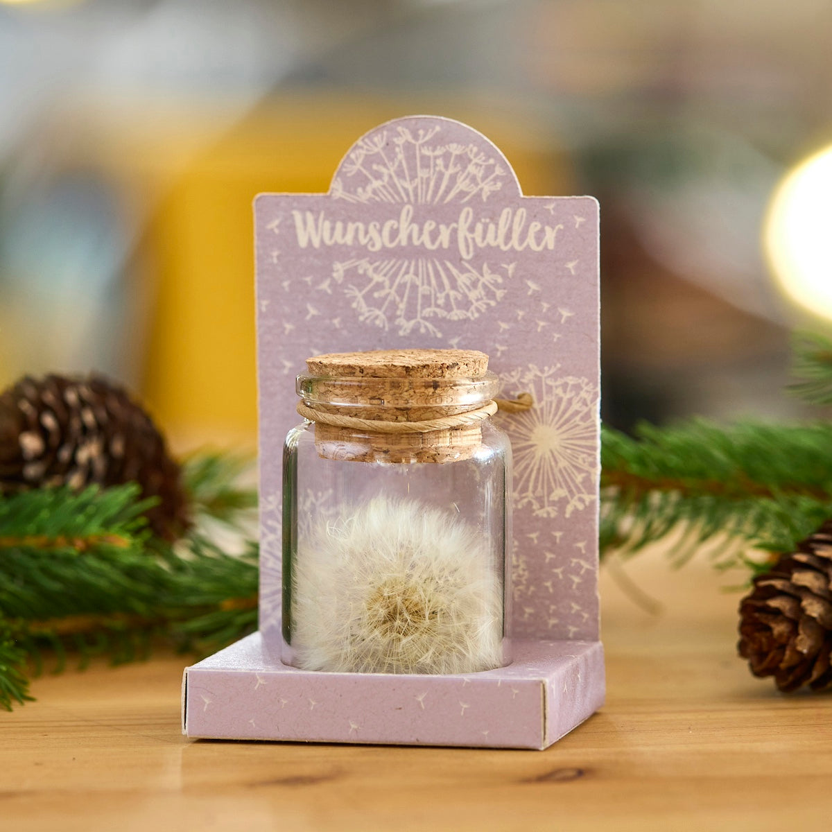 Wunscherfüller Pusteblume im Glas als besonderes Geschenk für jeden Anlass-Die Stadtgärtner