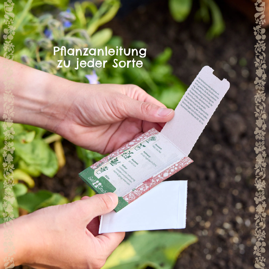 Samenfestes Erdnuss Saatgut für Garten und Balkon nachhaltige Verpackung-Die Stadtgärtner