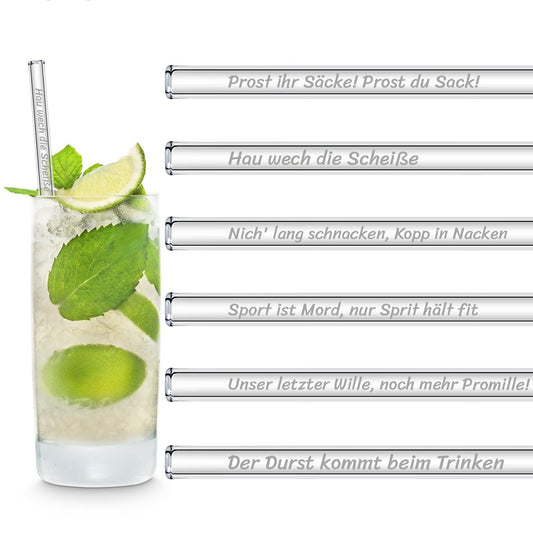 Sauf Sprüche Edition 6 gravierte Glasstrohhalme Trinksprüche Trinkspiele