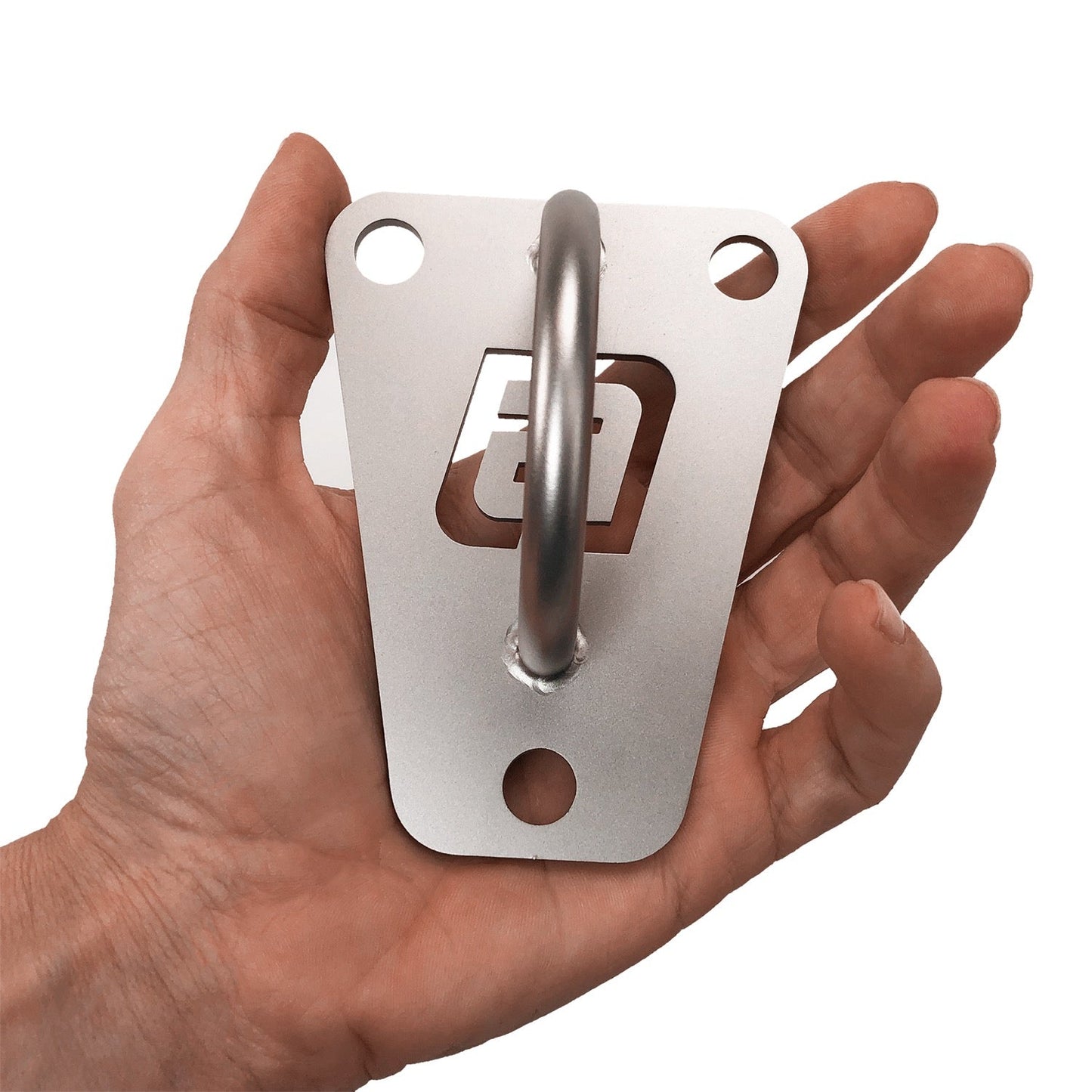 Slingtrainer Mount for Wall and Ceiling