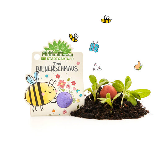 Blumenmurmel Timos Bienenschmaus Nachhaltige Samenbombe für Kinder-Die Stadtgärtner