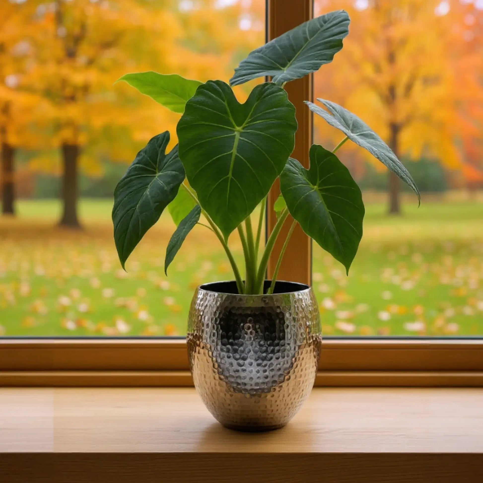 Übertopf Blumentopf Silber Pflanztopf Deko 2er Set glänzend rund Hammerschlag - Yabubest - Home & More