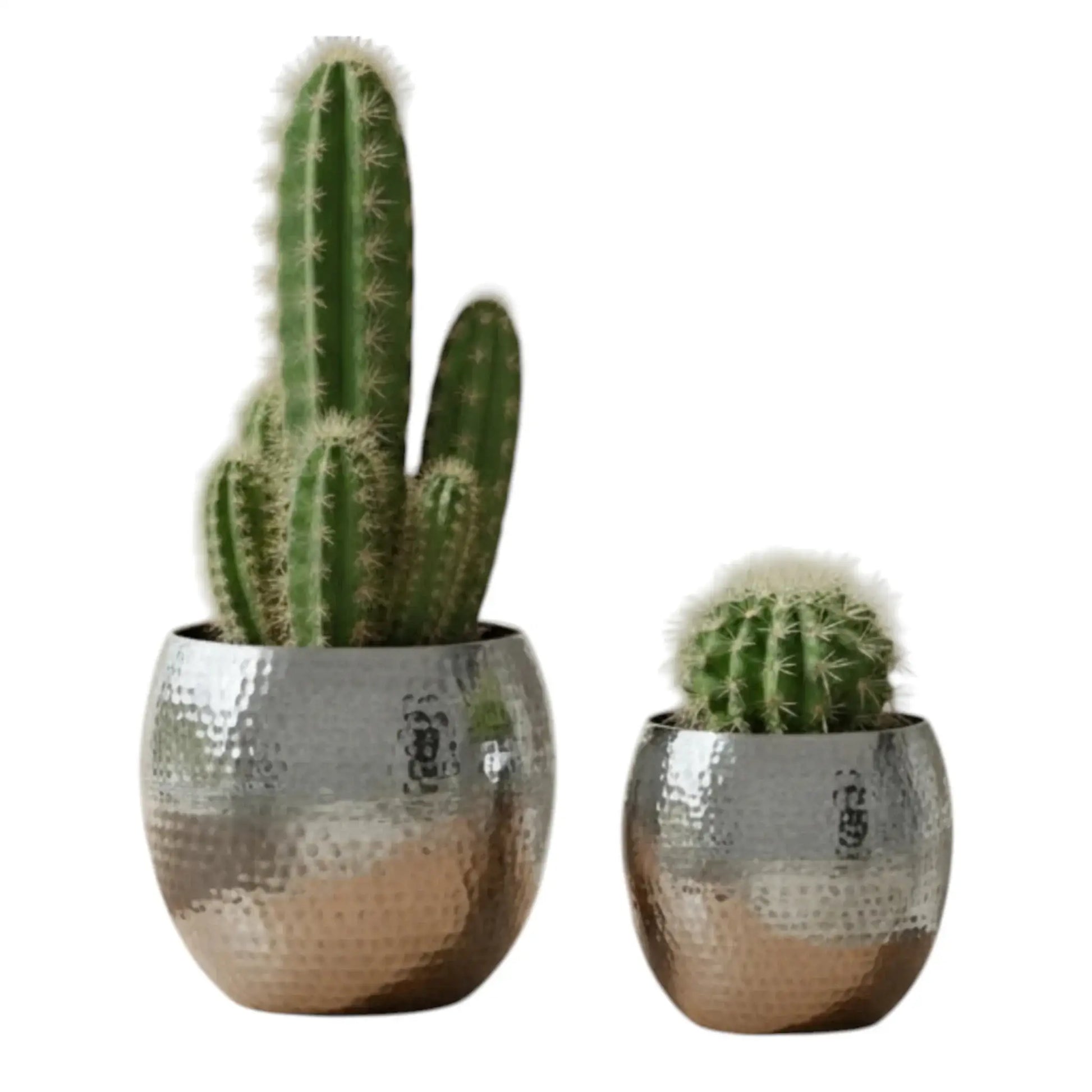 Übertopf Blumentopf Silber Pflanztopf Deko 2er Set glänzend rund Hammerschlag - Yabubest - Home & More
