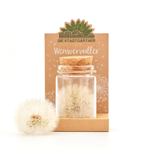 Handgemachte Wensvervuller mit über 100 Wünschen als kreatives Geschenk-Die Stadtgärtner